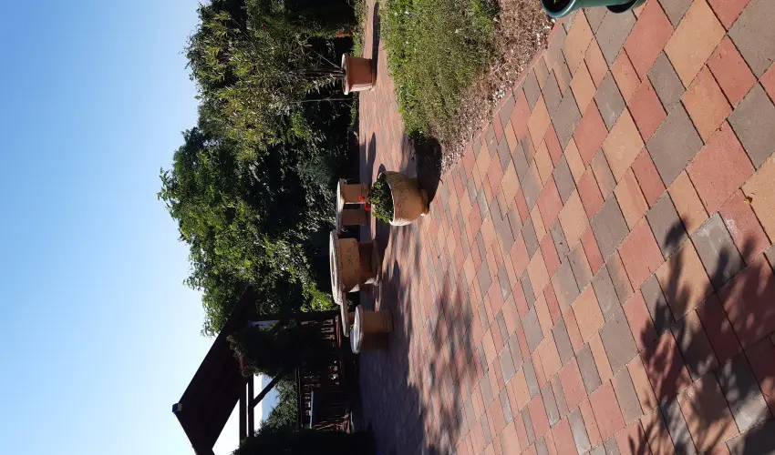 Di�fa Vend�gh�z Kehidakust�ny - Augusztus 20.