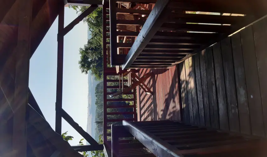 Di�fa Vend�gh�z Kehidakust�ny - Augusztus 20.