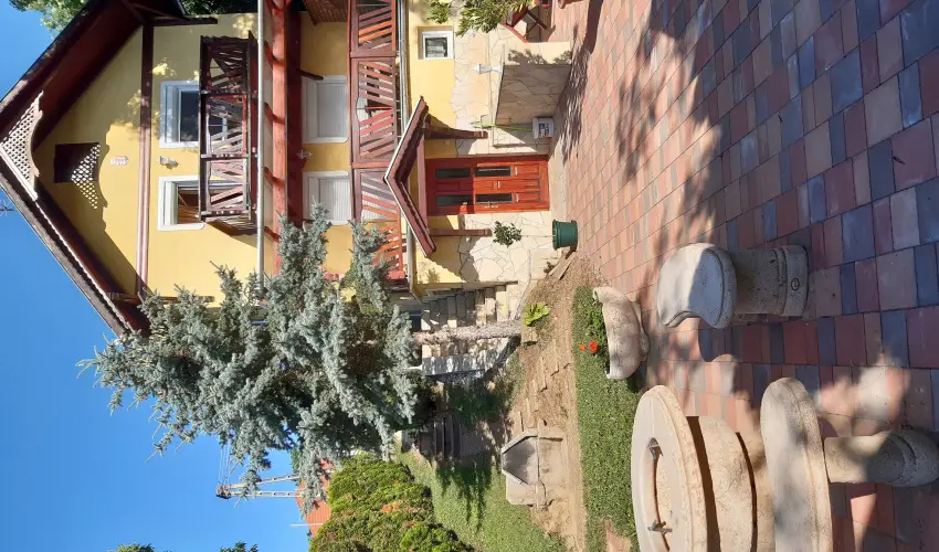 Di�fa Vend�gh�z Kehidakust�ny - Augusztus 20.