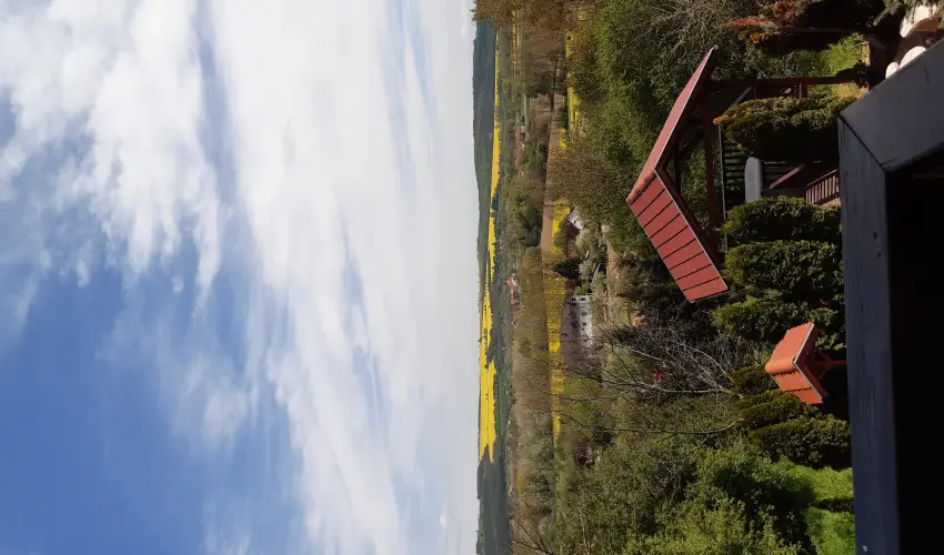 Di�fa Vend�gh�z Kehidakust�ny - Augusztus 20.