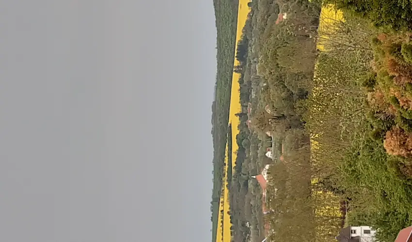 Di�fa Vend�gh�z Kehidakust�ny - Augusztus 20.