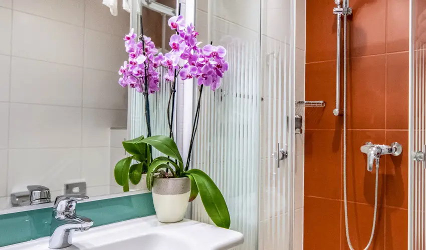 Dráva Hotel Thermal Resort Harkány - Augusztus 20. - teljes előrefizetéssel (min. 2 éj)