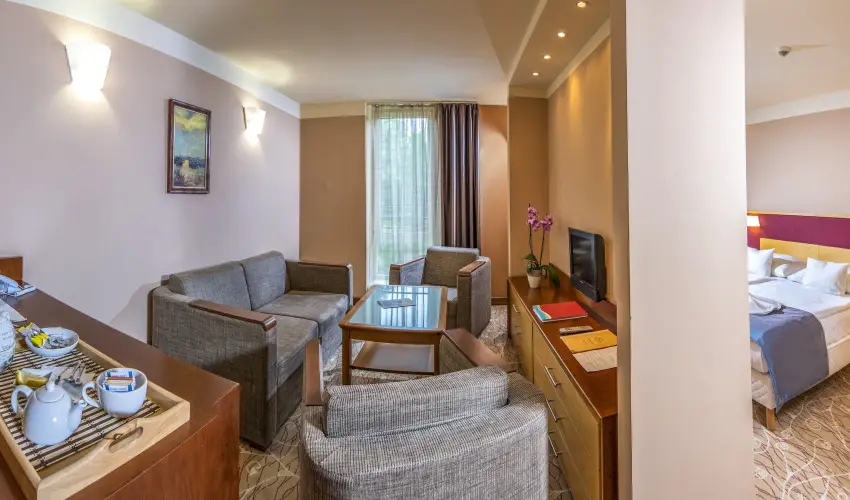 Dráva Hotel Thermal Resort Harkány - Augusztus 20. - teljes előrefizetéssel (min. 2 éj)