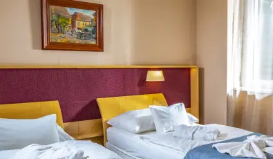 Drva Hotel Thermal Resort Harkny