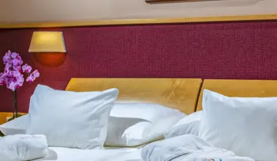 Drva Hotel Thermal Resort Harkny