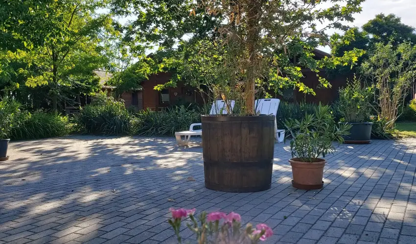 Dream Horse Apartman Cserkeszl - Augusztus 20. (min. 2 j)