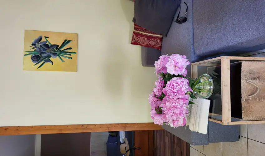 Dream Horse Apartman Cserkeszl - Augusztus 20. (min. 2 j)