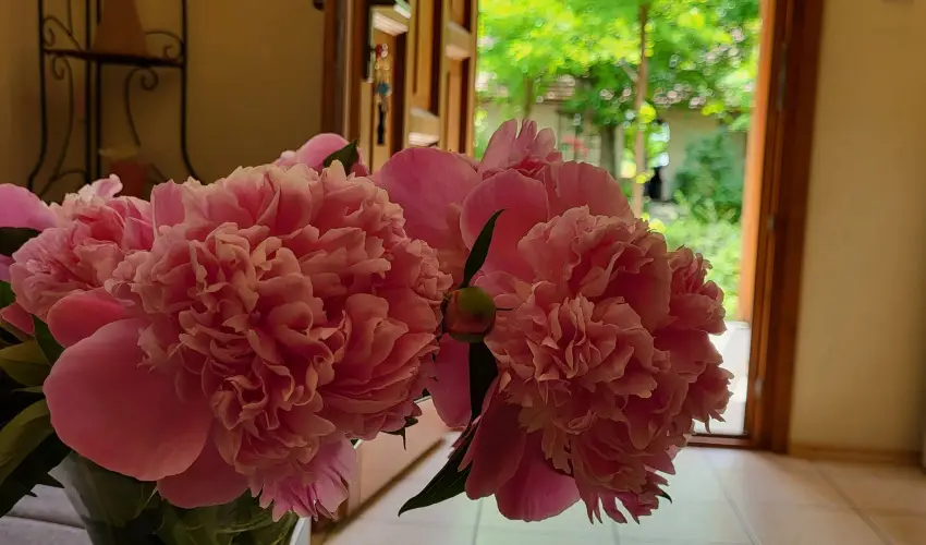 Dream Horse Apartman Cserkeszl - Augusztus 20. (min. 2 j)