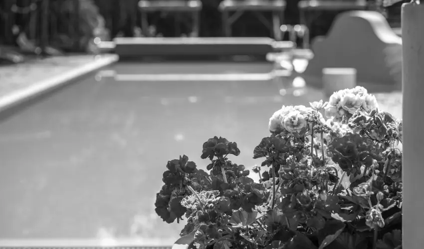 Duna Relax Hotel R�ckeve - Augusztus 20. (min. 2 �j)