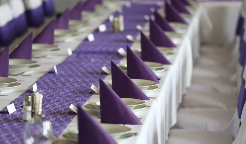 Duna Wellness Hotel Baja - Augusztus 20.