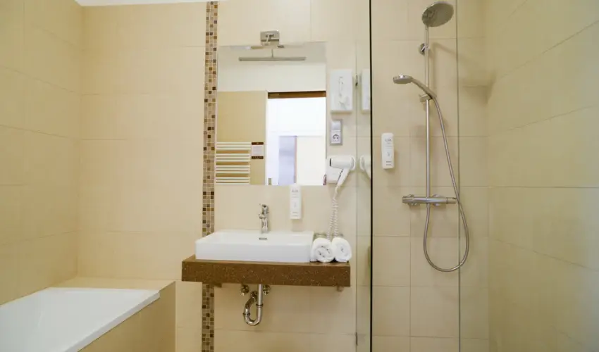 Duna Wellness Hotel Baja - Augusztus 20.