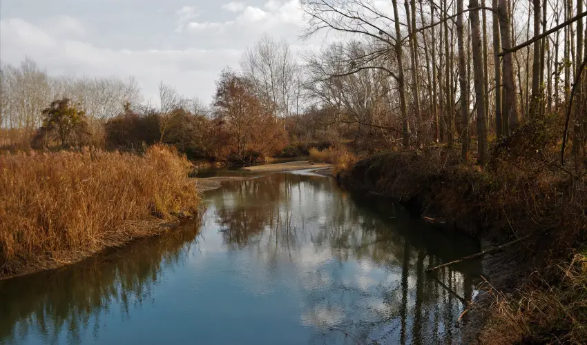 Duna-Beach Apartman Kimle - Augusztus 20. (min. 2 j)