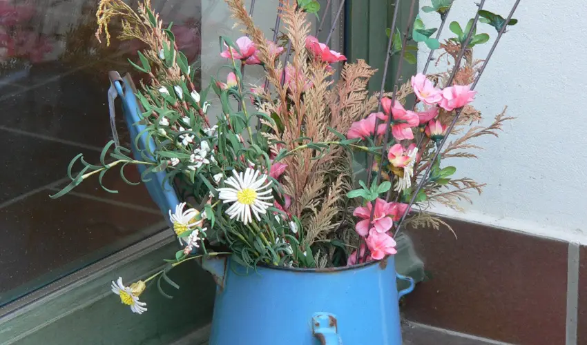 Edvy Malom Fogad� �s Barokk Udvarh�z P�pa - Augusztus 20. (min. 2 �j)