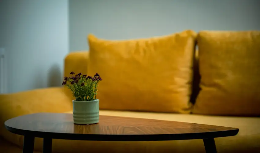 Eleven Business & Sport Hotel Jszrokszlls - Augusztus 20.