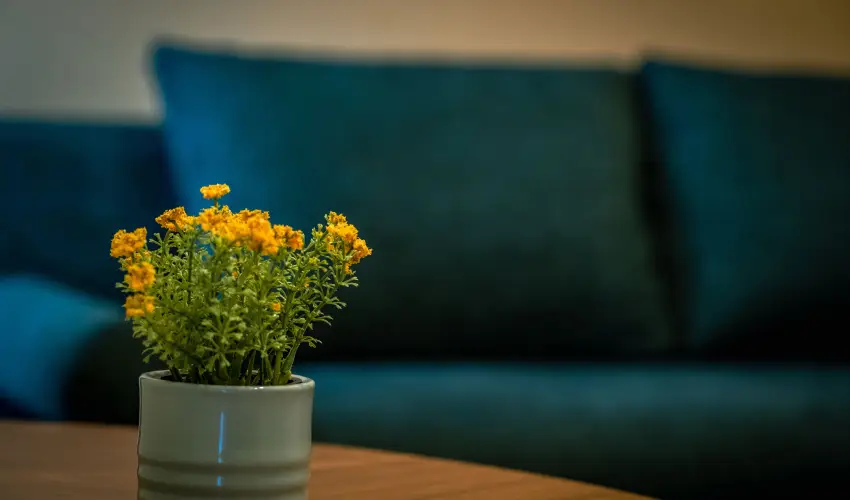 Eleven Business & Sport Hotel Jszrokszlls - Augusztus 20.