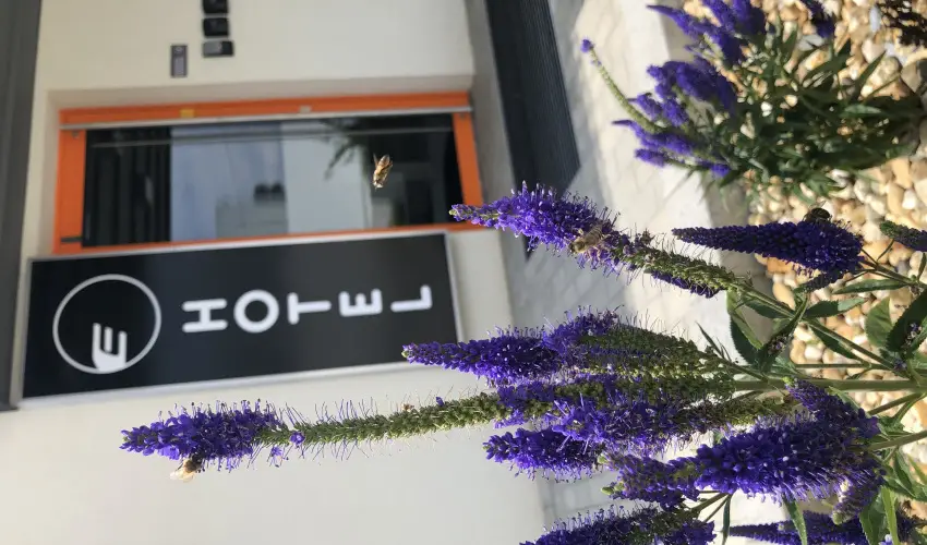 Eleven Business & Sport Hotel Jszrokszlls - Augusztus 20.