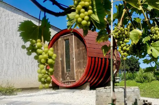 �lm�ny Vend�gh�z - Augusztus 20.