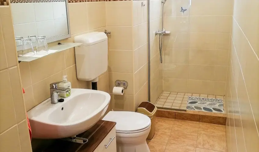 �lm�ny Vend�gh�z Csurg� - Augusztus 20.