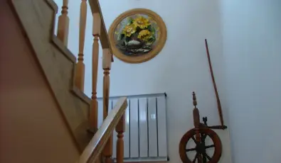 Szarvas Panzi� Erd�b�nye