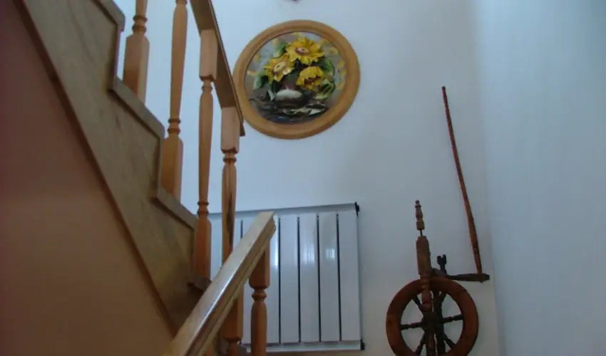 Szarvas Panzi� Erd�b�nye - Augusztus 20. (min. 2 �j)