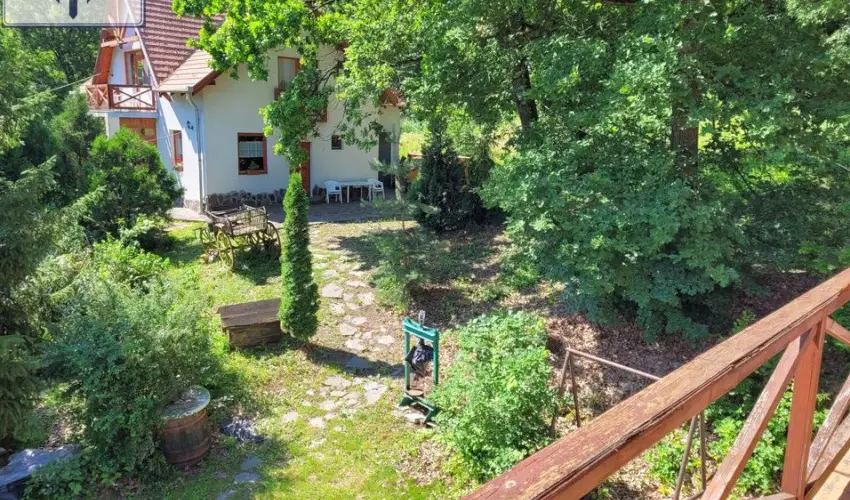 Szarvas Panzi� Erd�b�nye - Augusztus 20. (min. 2 �j)