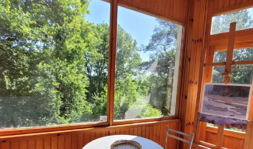 Szarvas Panzi� Erd�b�nye - Augusztus 20. (min. 2 �j)