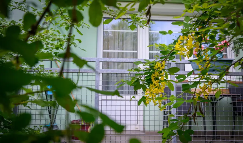 Erika Apartman Srvr - Augusztus 20. (min. 3 j)