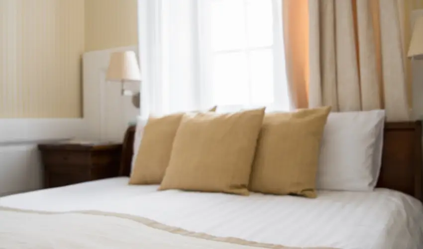 Erzsbet Nagy Szlloda Paks - Augusztus 20.