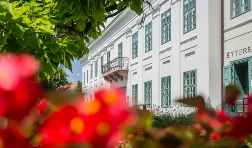 Erzsbet Nagy Szlloda Paks - Augusztus 20.