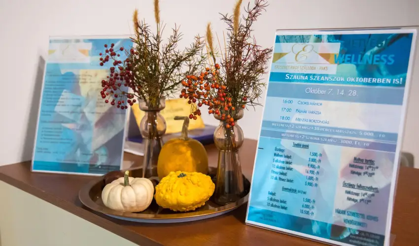 Erzsbet Nagy Szlloda Paks - Augusztus 20.