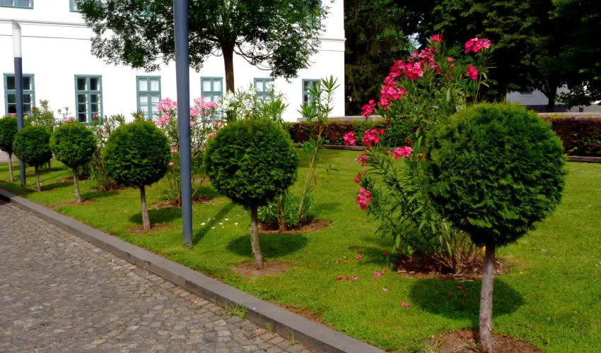 Erzsbet Nagy Szlloda Paks - Augusztus 20.