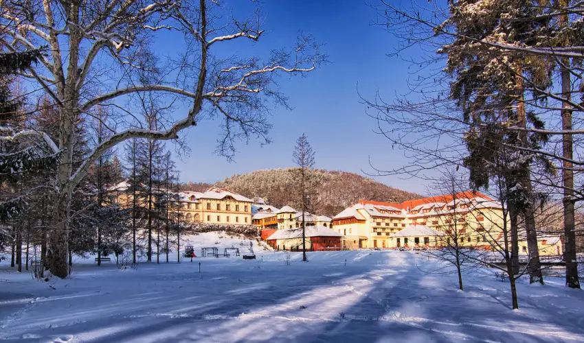 Erzs�bet Park Hotel Par�df�rd� - Augusztus 20.