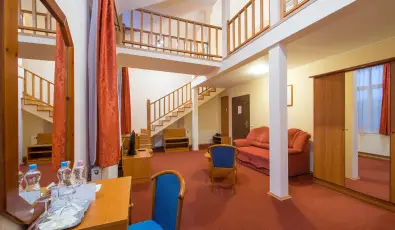 Erzs�bet Park Hotel Par�df�rd�