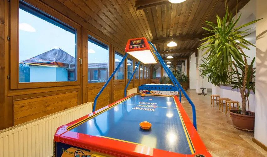 Erzs�bet Park Hotel Par�df�rd� - Augusztus 20.