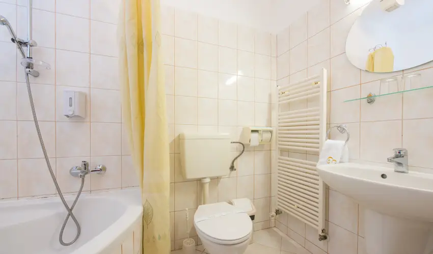 Erzs�bet Park Hotel Par�df�rd� - Augusztus 20.