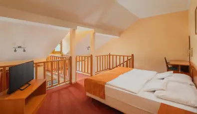 Erzs�bet Park Hotel Par�df�rd�