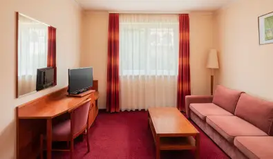 Erzs�bet Park Hotel Par�df�rd�