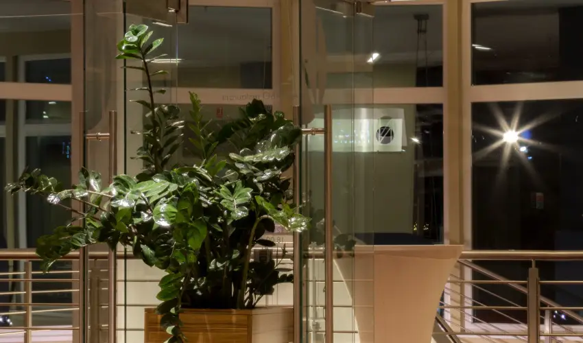 ETO Park Hotel**** Superior Business & Stadium Gyr - Augusztus 20.