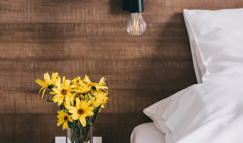 FATA Birtok Vendghz Nemesgulcs - Augusztus 20. (min. 3 j)