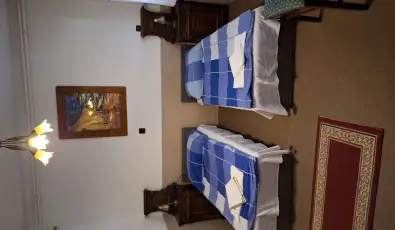 Feny� Panzi� Mez�k�vesd