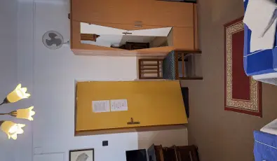 Feny� Panzi� Mez�k�vesd