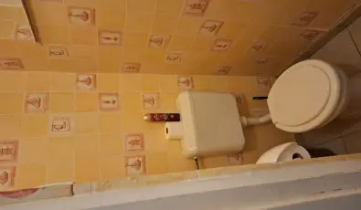 Feny� Panzi� Mez�k�vesd