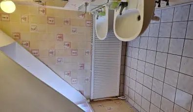 Feny� Panzi� Mez�k�vesd