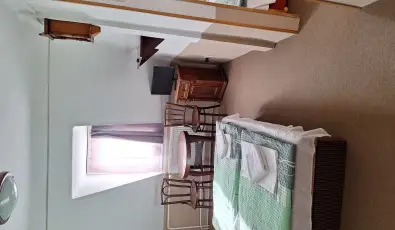 Feny� Panzi� Mez�k�vesd