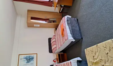 Feny� Panzi� Mez�k�vesd