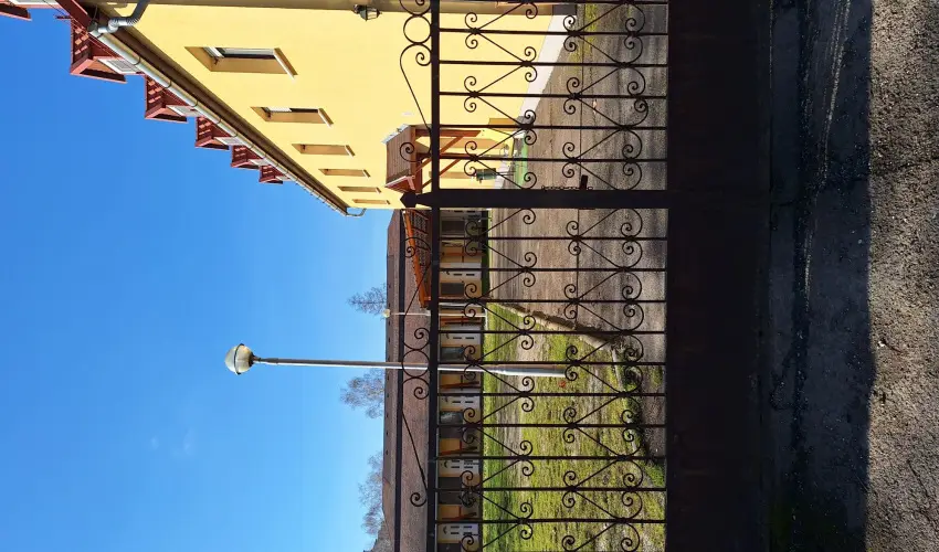 Feny� Panzi� Mez�k�vesd - Augusztus 20.