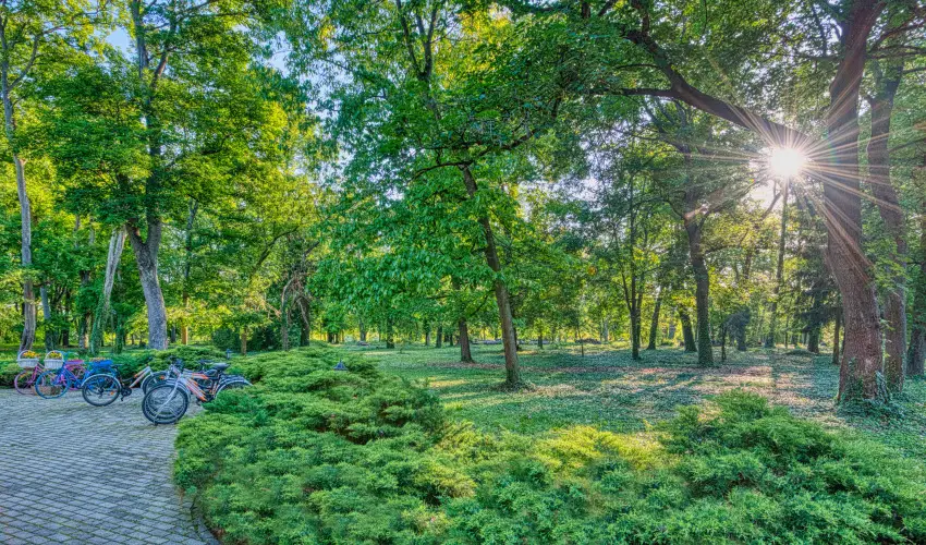 Fnix Wellness Resort Ngrdgrdony - Augusztus 20. (min. 3 j)