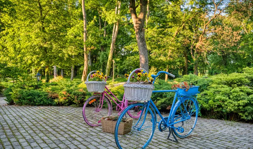 Fnix Wellness Resort Ngrdgrdony - Augusztus 20. (min. 3 j)