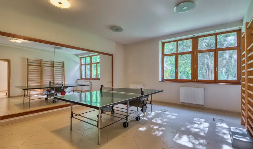 Fnix Wellness Resort Ngrdgrdony - Augusztus 20. (min. 3 j)