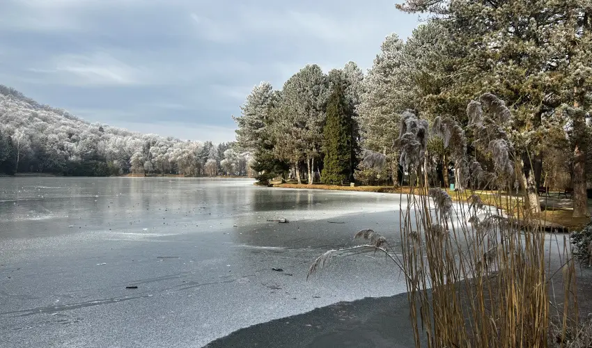 Fortuna Apartman Kszeg - Augusztus 20. (min. 2 j)